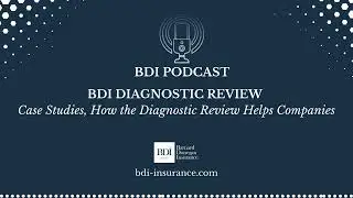 BDI Diagnostic Review &ndash; Case Studies, How the Diagnostic Review Helps Companies