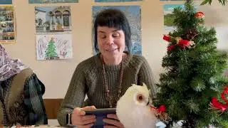 Светин свет.  21. 12. 25.