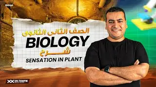 شرح Sensation in plant  في مادة ال Biology للصف الثانى الثانوي الترم الثاني
