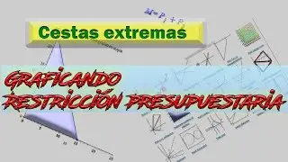 01- Microeconom&iacute;a, Graficar restricci&oacute;n presupuestaria con Maple