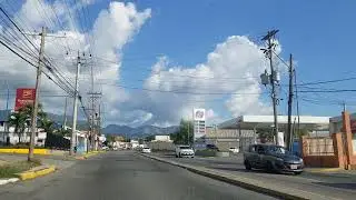 Liquanea | Jamaica