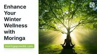 Moringa + Mindfulness: Winter Wellness Routine