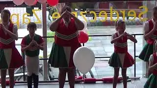 Karneval   Wandern  Feiern Die Bürgergarde Herrmülheim   2019