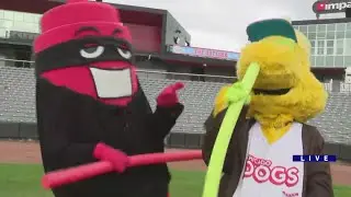 Weekend Break: Star Wars Night with the Chicago Dogs