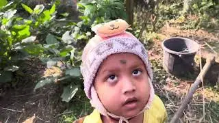 ବାଡ଼ିରେ କିଏ ପଶିଛି 