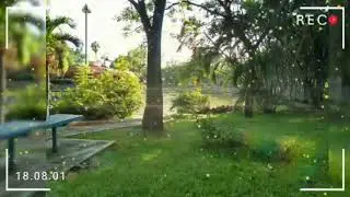 Visita al parque Alameda, Cuernavaca, Mor.
