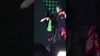 우리 Aussie brothers [Maniac in Seoul D3]