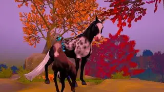 Growing up my unique prestige foals! [#starequestrian]