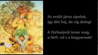 W.A.Mozart - A var&aacute;zsfuvola - Papageno bel&eacute;pője - 