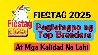 FIESTAG 2025 || DAY 3 || TOP BREEDERS || DEKALIDAD NA MATERYALES