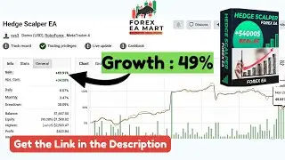 Hedge Scalper EA MT4 &ndash; Safe & Profitable Forex Bot | Multi-Pair M5 Scalping Strategy