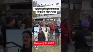 #chandigarh #news #mudercase #rose #garden #shortvideo #death #viral #trending #feedshorts #shorts