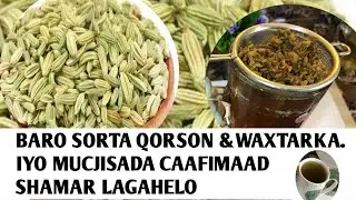 &rlm;فوائد الشمر  Faaiidooyiinka fennel seeds or shamar