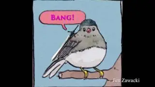 Devil Trigger of Nature Bird Meme