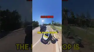 Actually, drivers run stop signs
