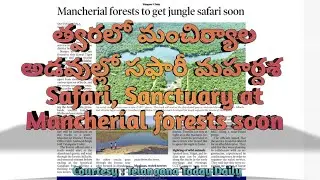 త్వరలో మంచిర్యాల అడవుల్లో సఫారీ మహర్దశ | Safari, Sanctuary at Mancherial forests soon