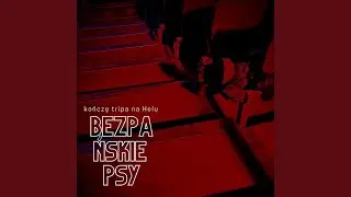 Kończę tripa na Helu