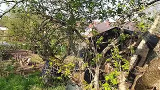 Allotment, April, 2020
