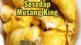 Durian Kampung Tapi Rasa Macam Musang King?! 😱
