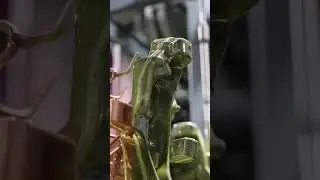 Vom Rohteil zur Hightech-Komponente 🔩