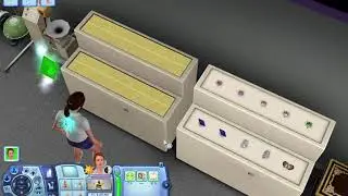 The Sims&trade; 3 Soulpeace (With Small Display Case)