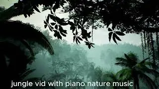 calm relaxing music