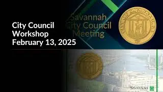Savannah City Council Workshop