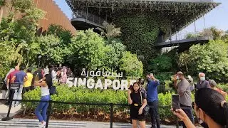 EXPO2020DUBAI/SINGAPORE PAVILION#PART-4 സിങ്കപ്പൂർ പവിലിയൻ കാഴ്ചകൾ.