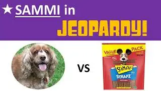 Sammi in JEOPARDY! - Sammi VS Smackos