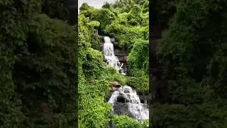 നാട് #olichi#shortvideo #nature #malayalamvideo #vellachattam