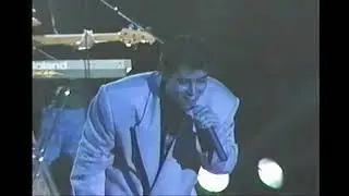 BRANDON- LINEAR-KISSES IN THE NIGHT-Live Performance
