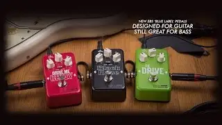 EBS Blue Label Pedals - with bass
