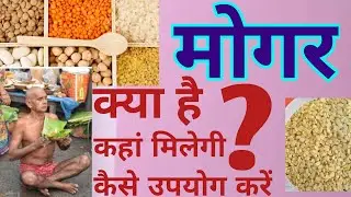 मोगर क्या है | कहा से मिलेगा | mogar kya hota hai | mogar ki pehchan kaise karen #mogar #mogarkidal