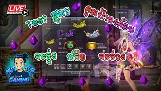 Cabal : Ultimate Combo [EP48] สตรีมซ่า SS5 Week 4 testสูตรคุณป้าลงค้อน กับ วิตัวน้อยๆ