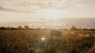 Blue Illusion | Our Wool Journey