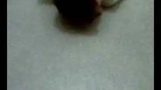 et hop!..tadaa..pou&egrave;t..!!! chenipan &eacute;volue en....