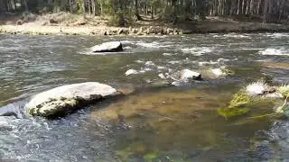 Bayrisch Kanada bei Geiersthal / Teisnach