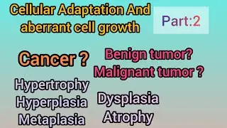 Cellular Adaptation and aberrant cell growth/ Cell Changing/ Cell Disorders 