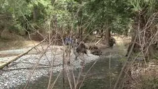 Voices of the River - Full film