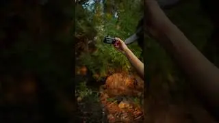 Why This Camera Takes Magic Photos?