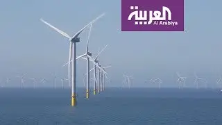 أكبر مزرعة بالعالم.. تزرع الرياح وتجني الكهرباء