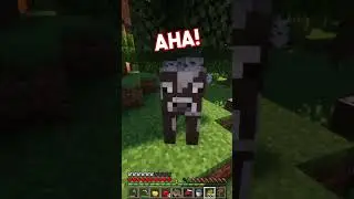 How Fast Can I Find A MANGROVE SWAMP In Minecraft? 🌿