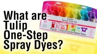 What's in the Tulip One-Step Spray Dye Kit