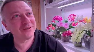 вынесли диагноз и ПРИГОВОР моему коню // двигаемся ДАЛЬШЕ