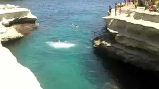 Maltese Cliff Jumping Terrier Dog at St Peter's Pool Malta