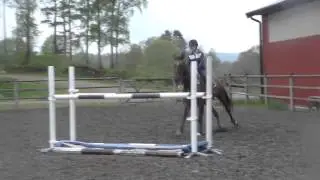 Carisma jumping