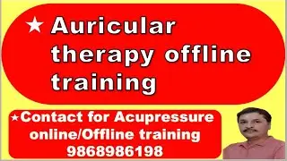 Auricular Therapy offline training #auriculartherapy #sujoktherapy #acupressuretraining