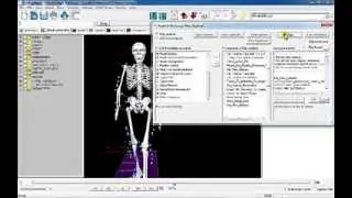 Visual3D Video Tutorial: Report Building - Add an Image (Pipeline)