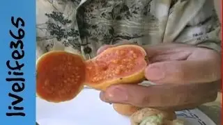 How to...Eat Guava