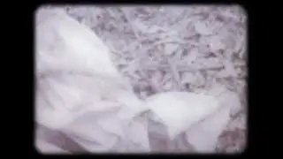 The Bitterroot Footage